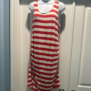 Pinkblush Striped Maternity Dress